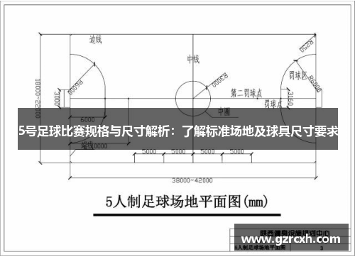 5号足球比赛规格与尺寸解析：了解标准场地及球具尺寸要求