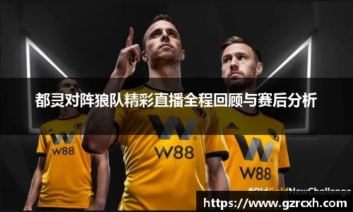 bwin必赢都灵对阵狼队精彩直播全程回顾与赛后分析