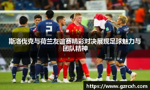 bwin必赢斯洛伐克与荷兰友谊赛精彩对决展现足球魅力与团队精神